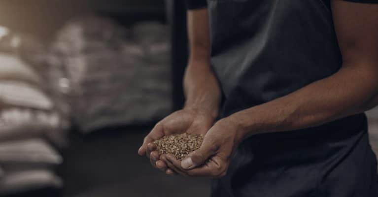 A man holding barley in his two hands.